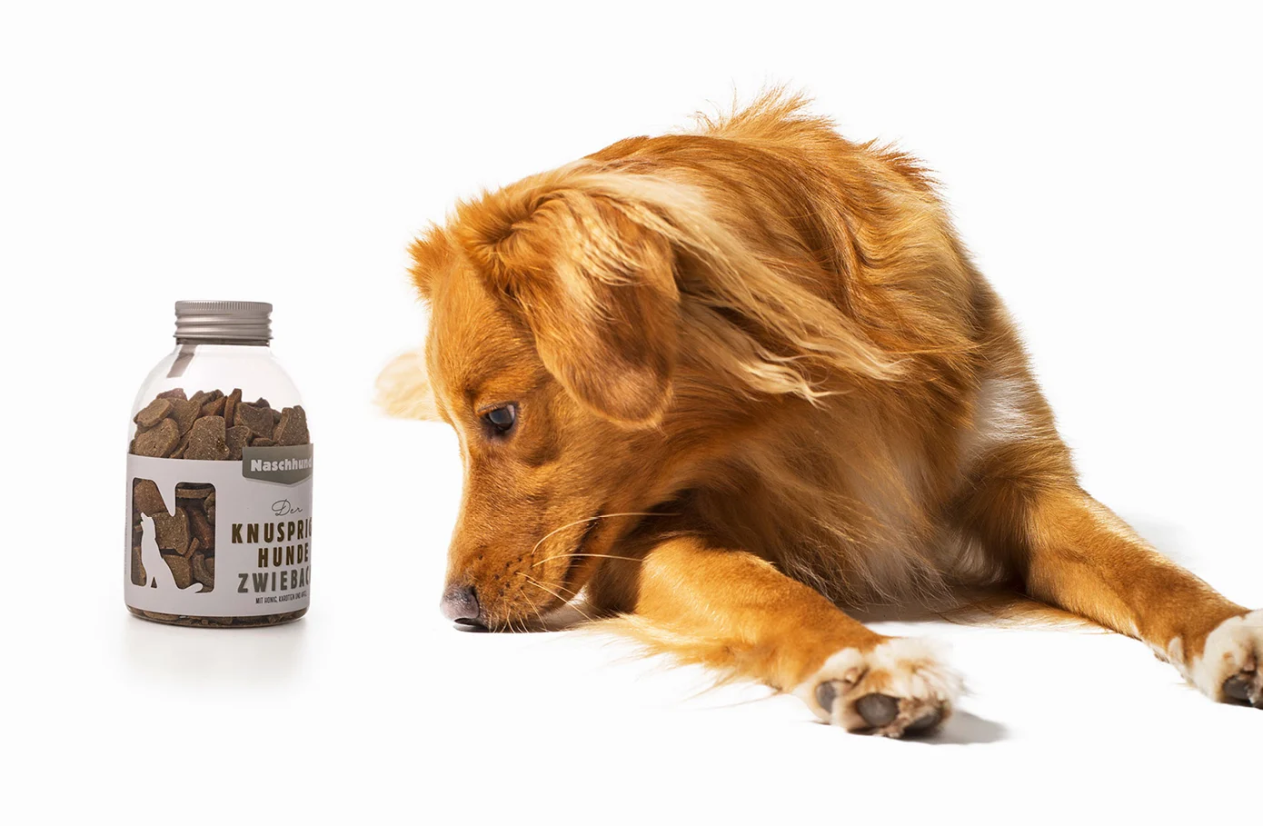 01 Zurgams Naschhund Vittles Header