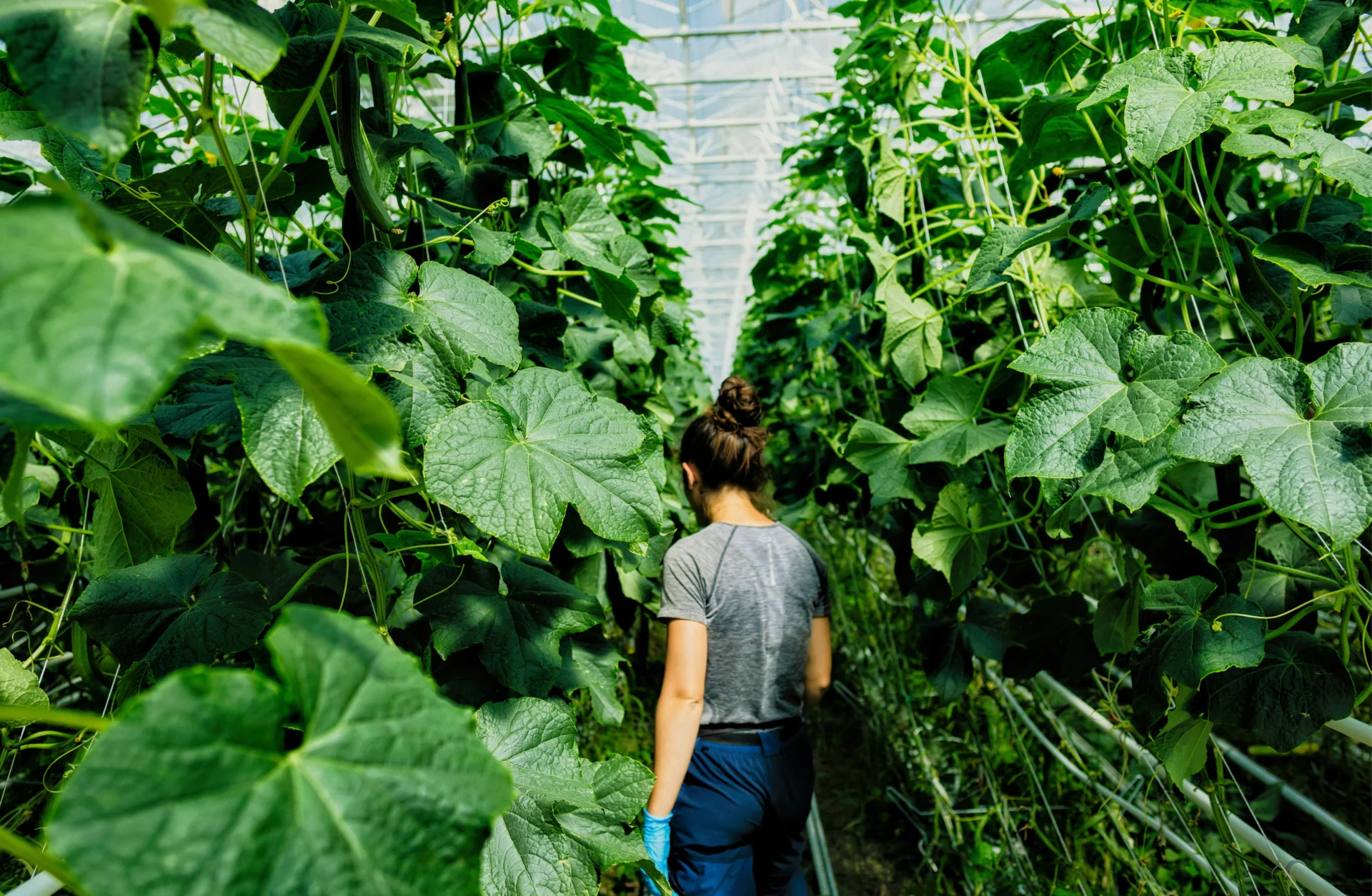 03 Zurgams Kellermann Fotografie Markus Gmeiner