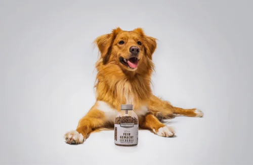 04 Zurgams Naschhund Vittles