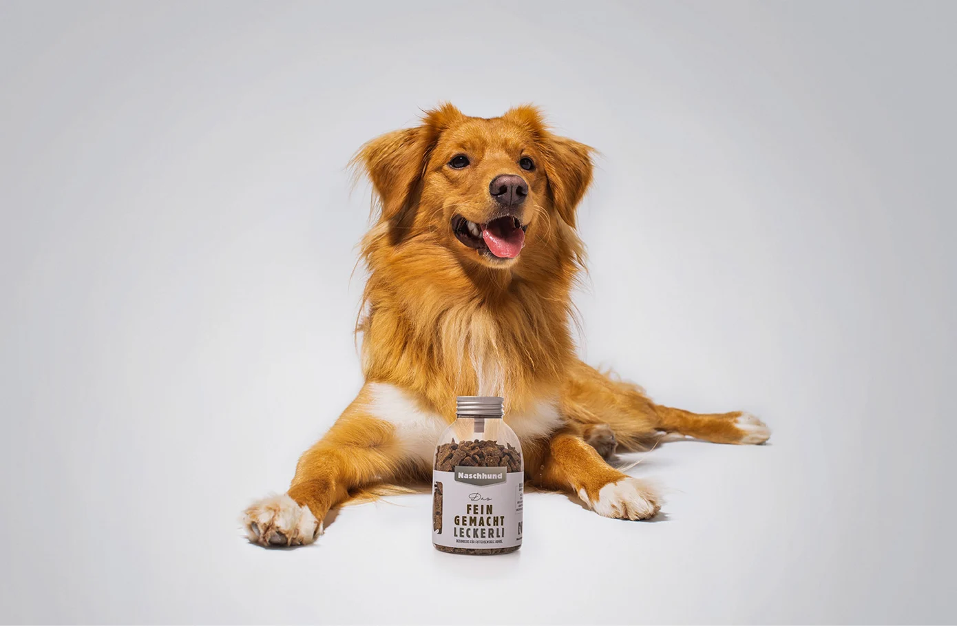 04 Zurgams Naschhund Vittles