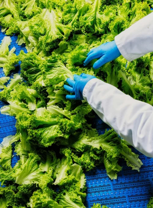 07 Zurgams Kellermann Corporate Foto Markus Gmeiner