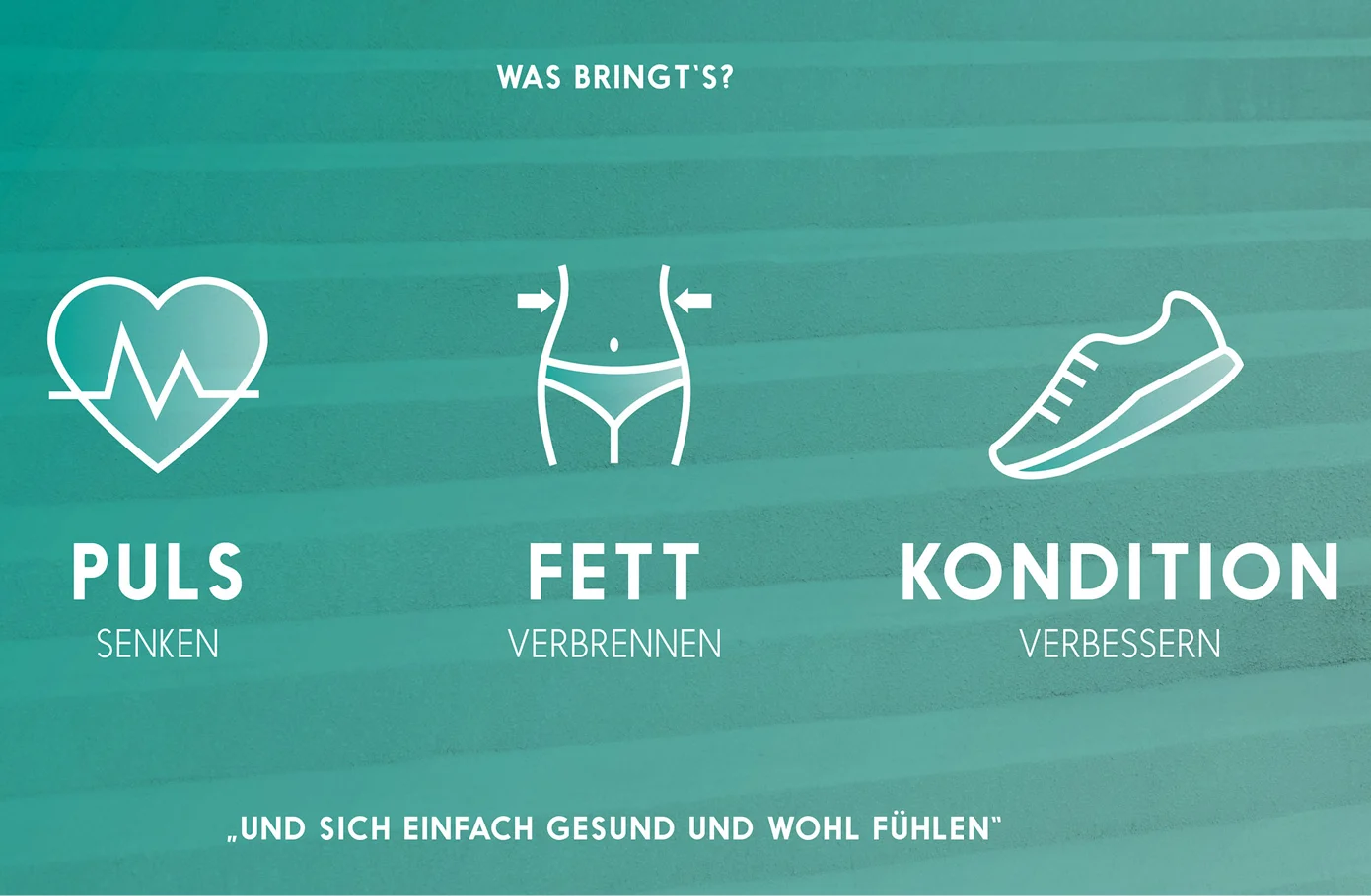 10 Zurgams Stiegenbock App Vorteile