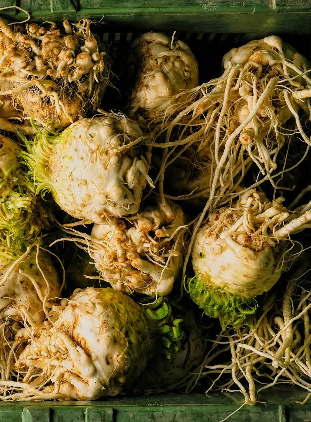 12 Zurgams Kellermann Fotoshooting Corporate Markus Gmeiner