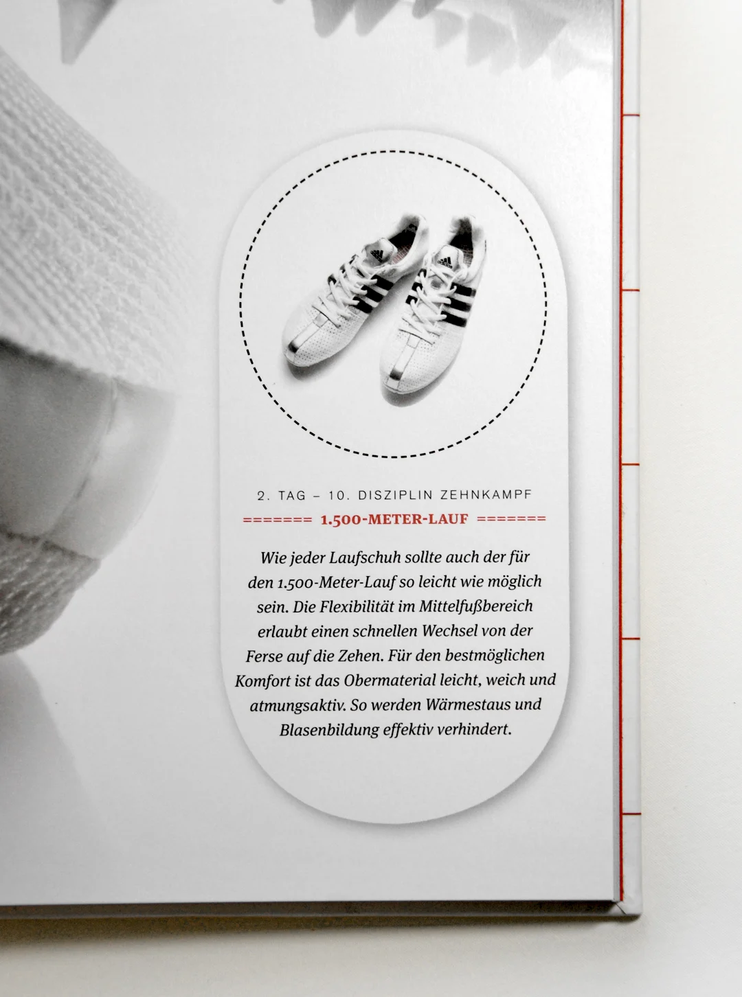 Zurgams Buch Zeitspruenge Hoch