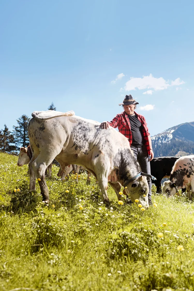 Zurgams Spar Heimat Titelstory Kuh Meff Hoch